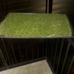 Dog Grass For Bathroom Training 