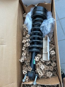 Ford F-150 Struts