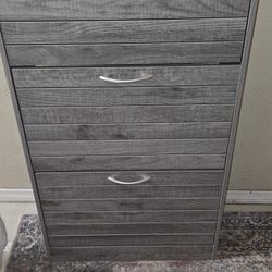 Shoe Organizer