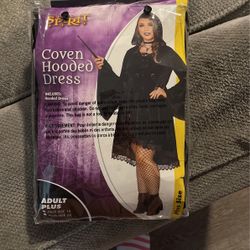 Witch Adult Halloween Costume