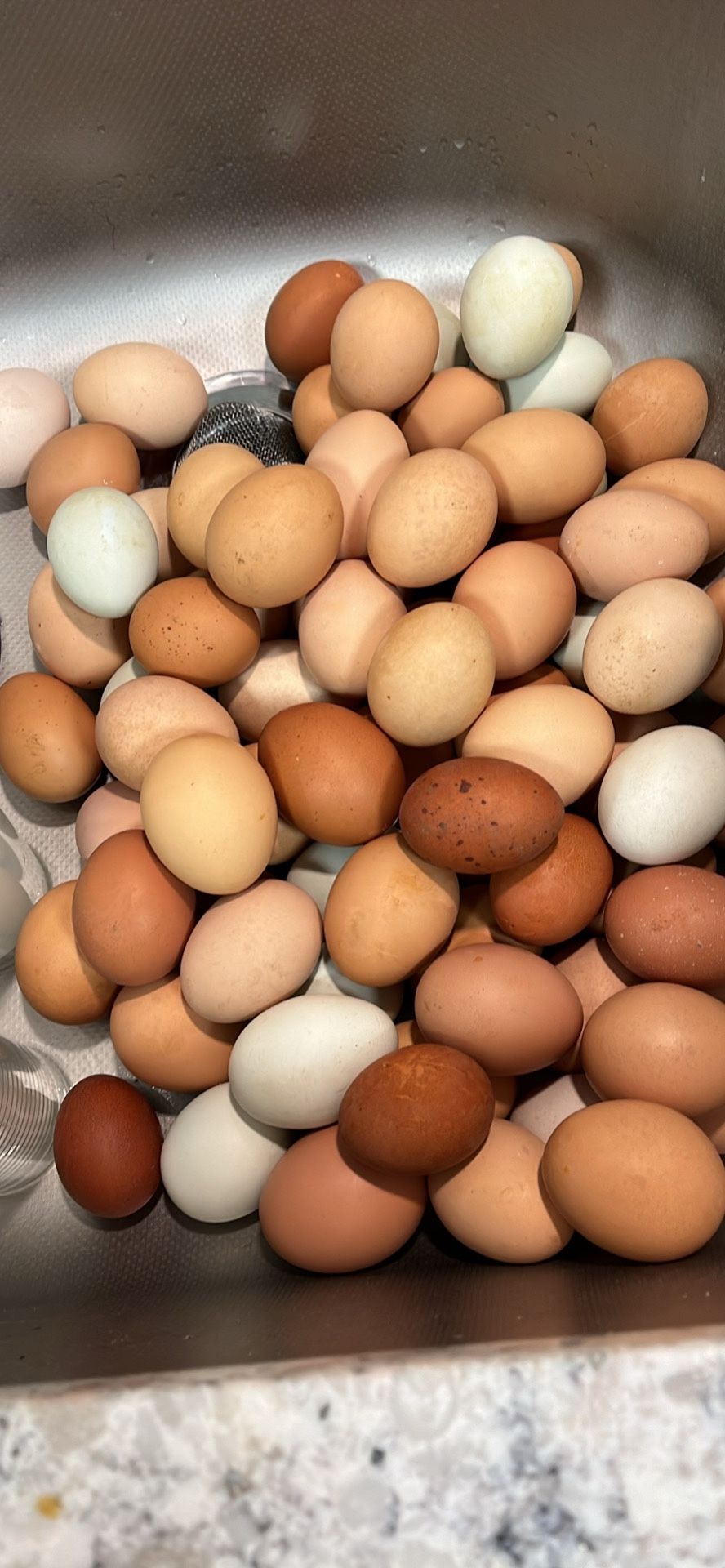 Farm Fresh Eggs