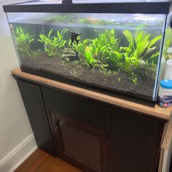 40 Gallon 