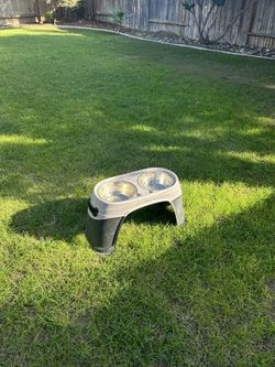 XL Elevated Dog Bowls