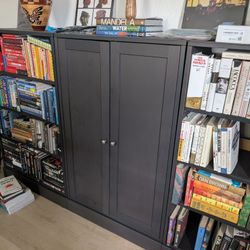 Ikea Havasta Cabinet With Base -  Solid Pine Black Excellent Storage Cabinet