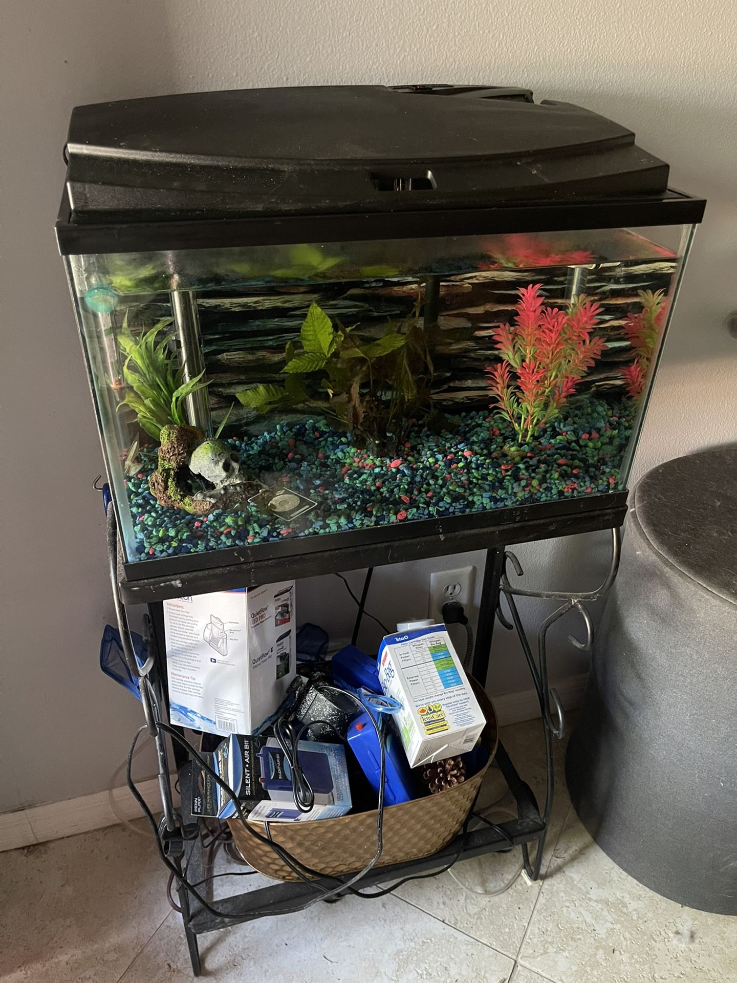 10 Gal Freshwater Fish Tank