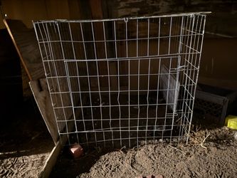 Chicken Cage
