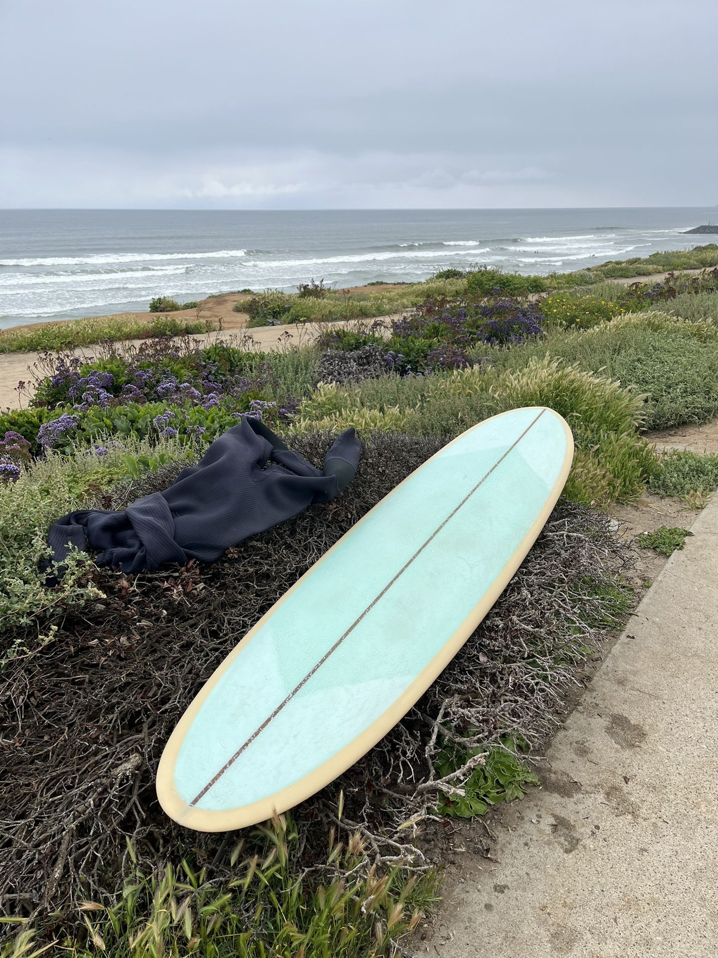 Longboard Surfboard