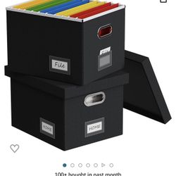 File Box Set Of 2, Black and Gray Color 
