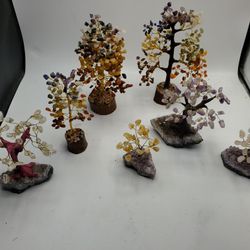 Collection Of Money Trees And 7 Chakra Trees