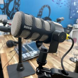 Rode PodMic Dynamic Podcasting Microphone 
