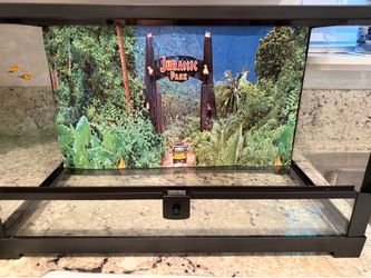 Reptile Tank with removable background