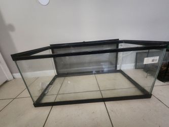 40 gallon reptile tank and 15 gallon tank
