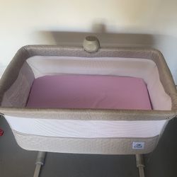 Portable Baby Bedside Bassinet Crib with Carrying Bag