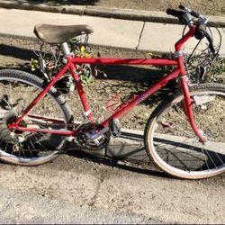 Vintage Specialized Mountain Bike 