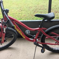 Salsa Timberjack 24 Youth Mountain Bike