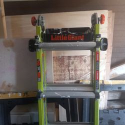 Little Giant Ladder 