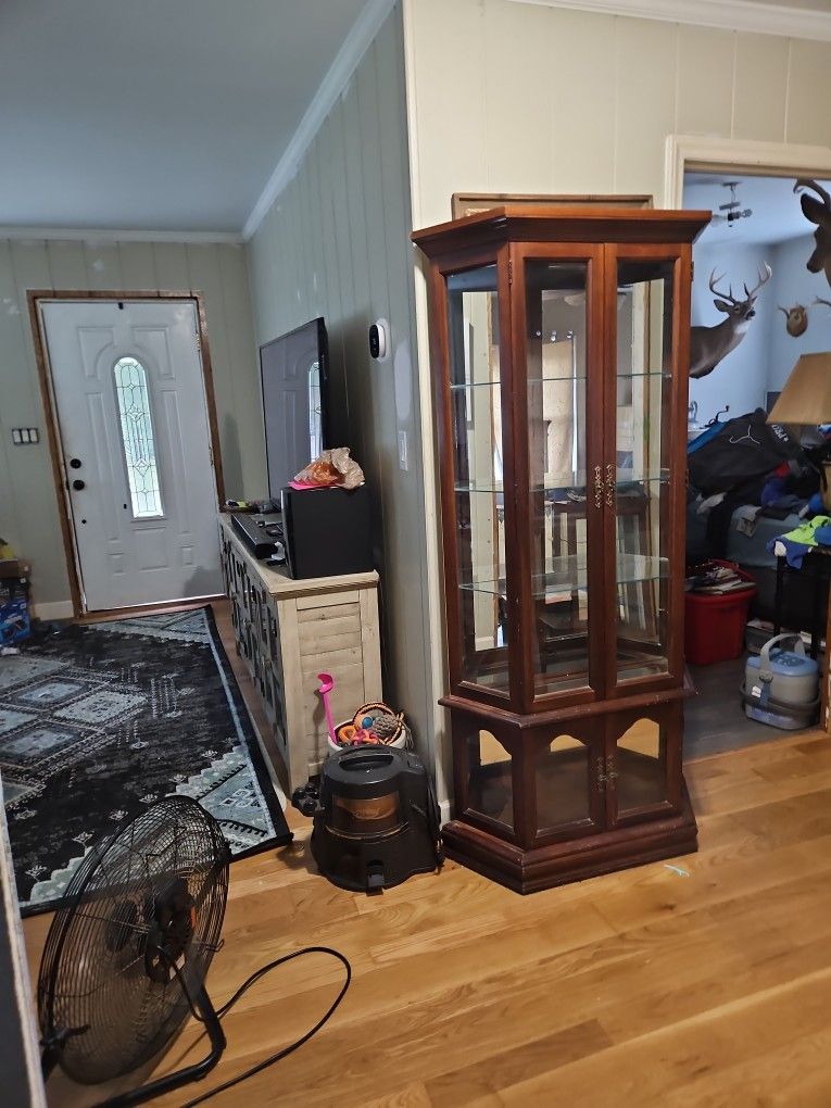 Wood & GLASS Cabinet