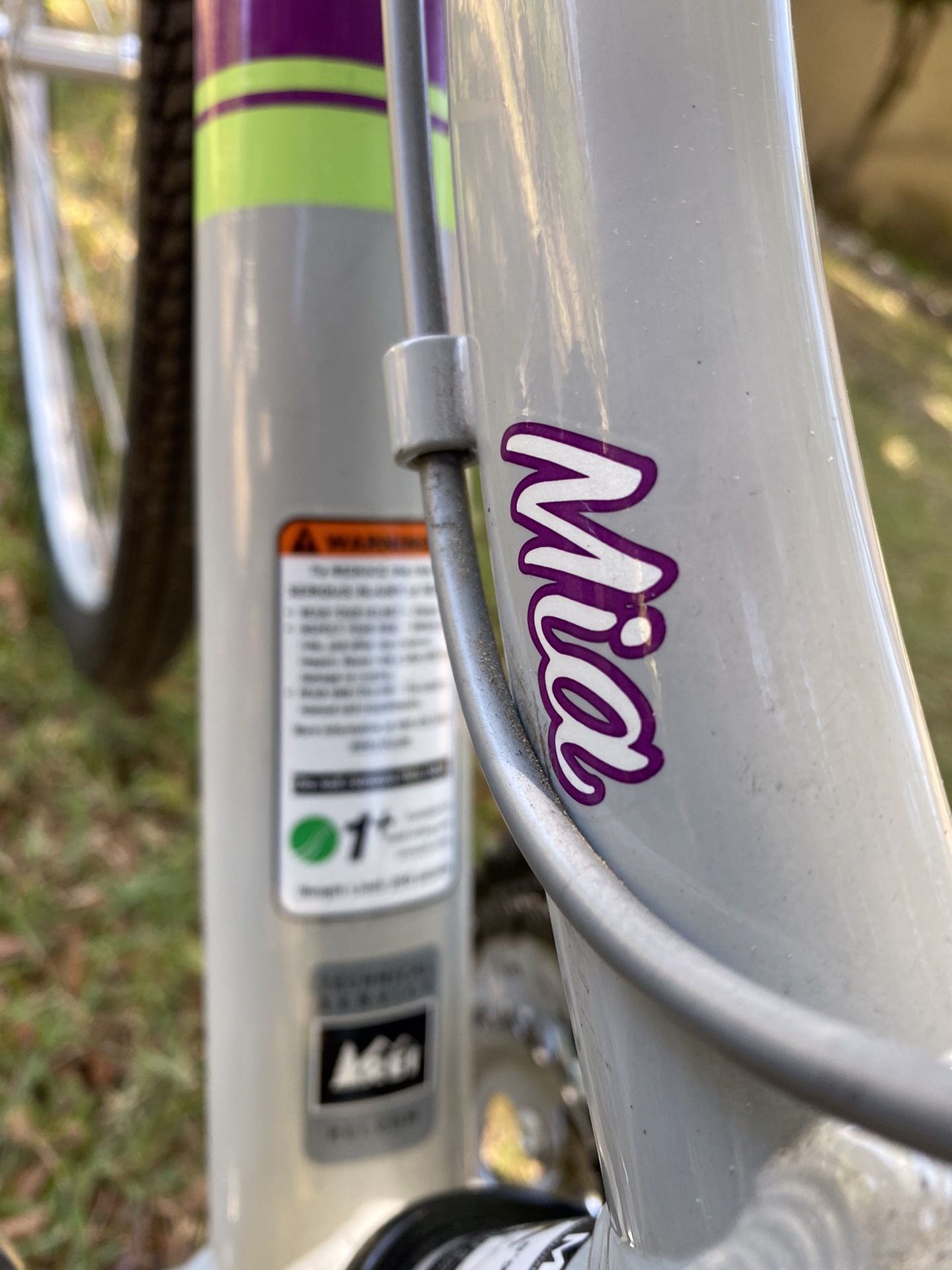 REI Women’s Novara Mia Bicycle, Plus Panniers, Rack, And Lock for Sale