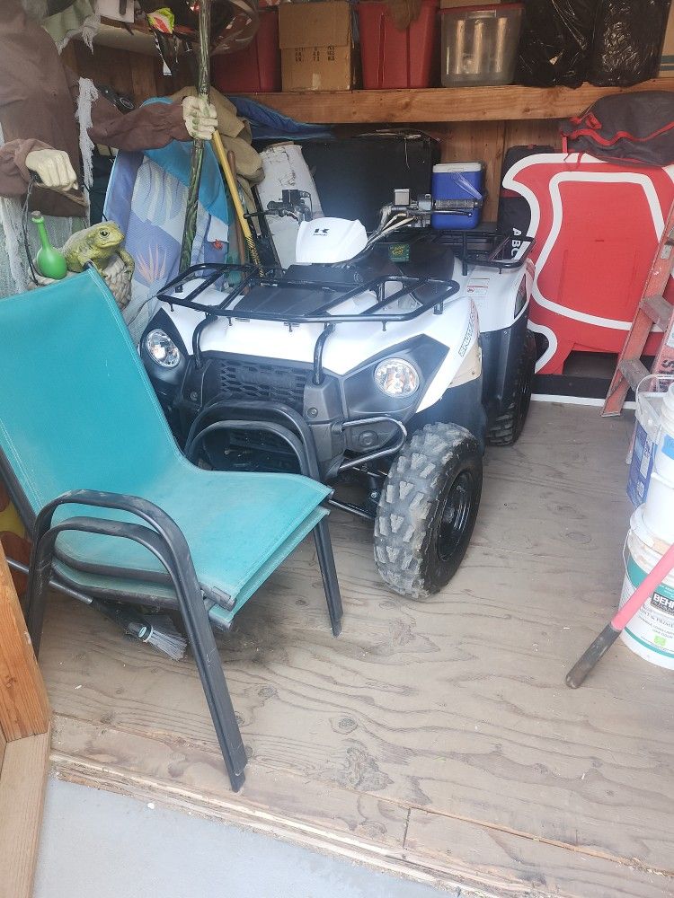 Kawasaki Brute Force 300