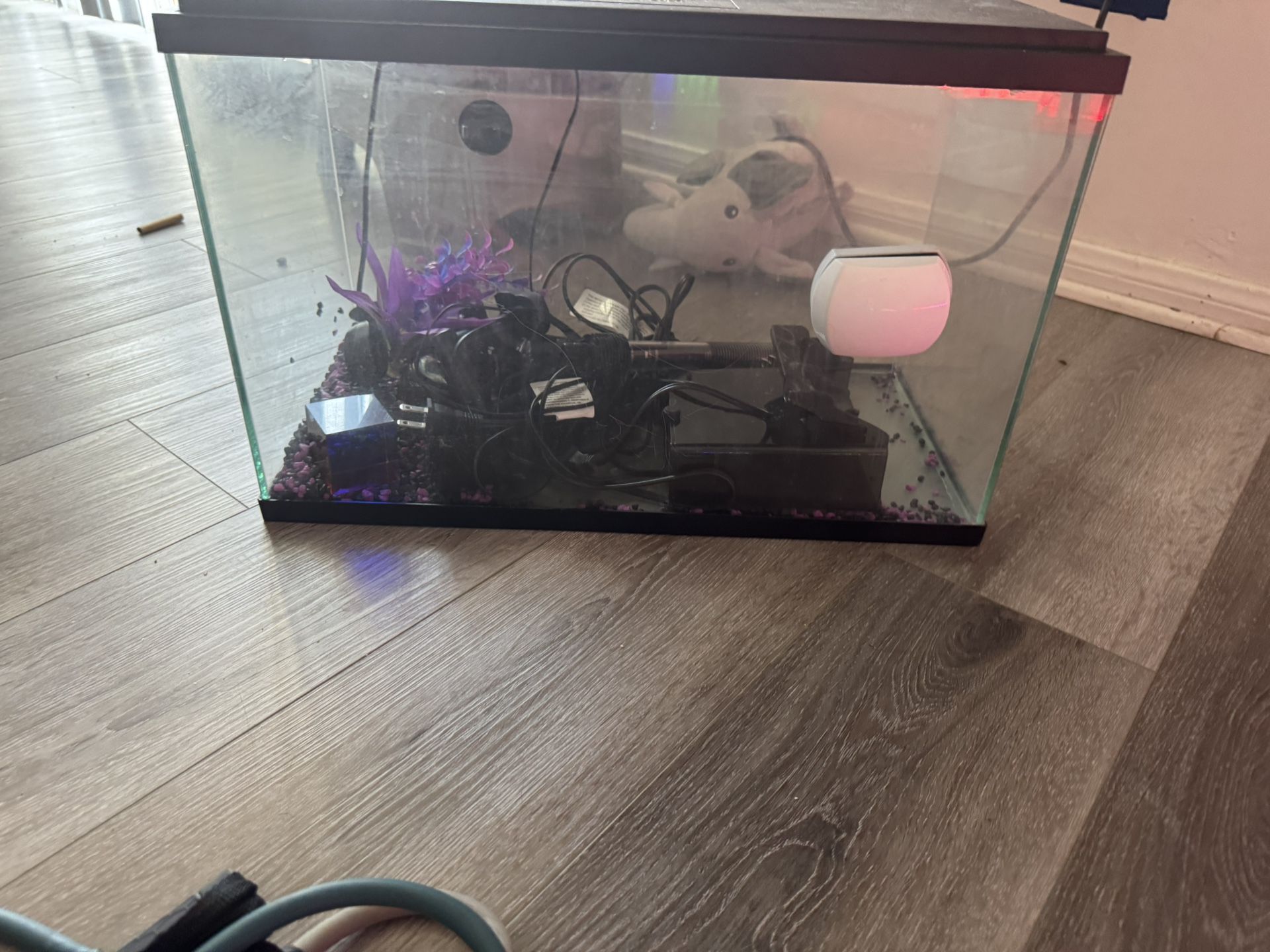 Fish Tank