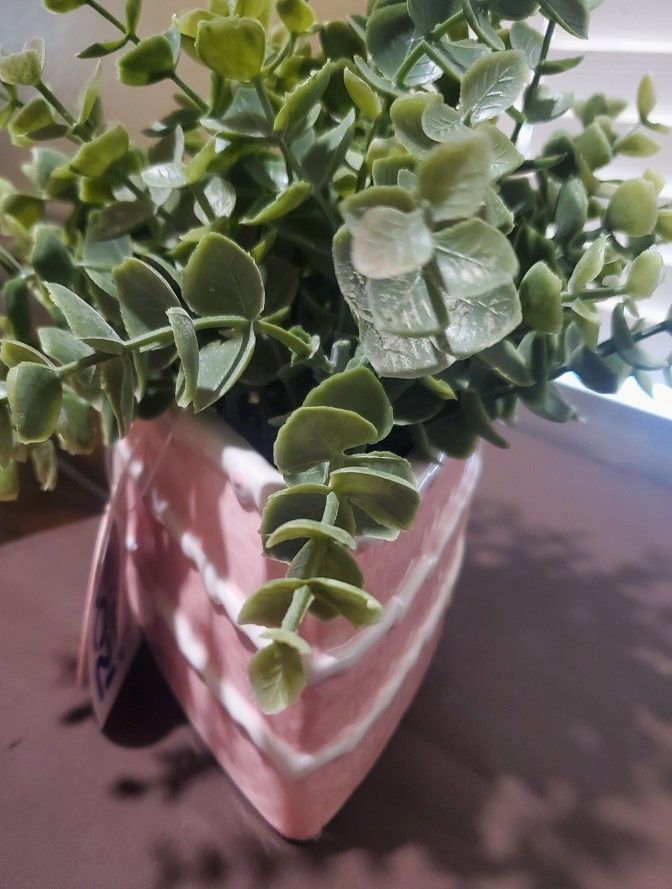 Artificial Eucalyptus Plant in a Pink Cake-Slice Shaped Ceramic Pot