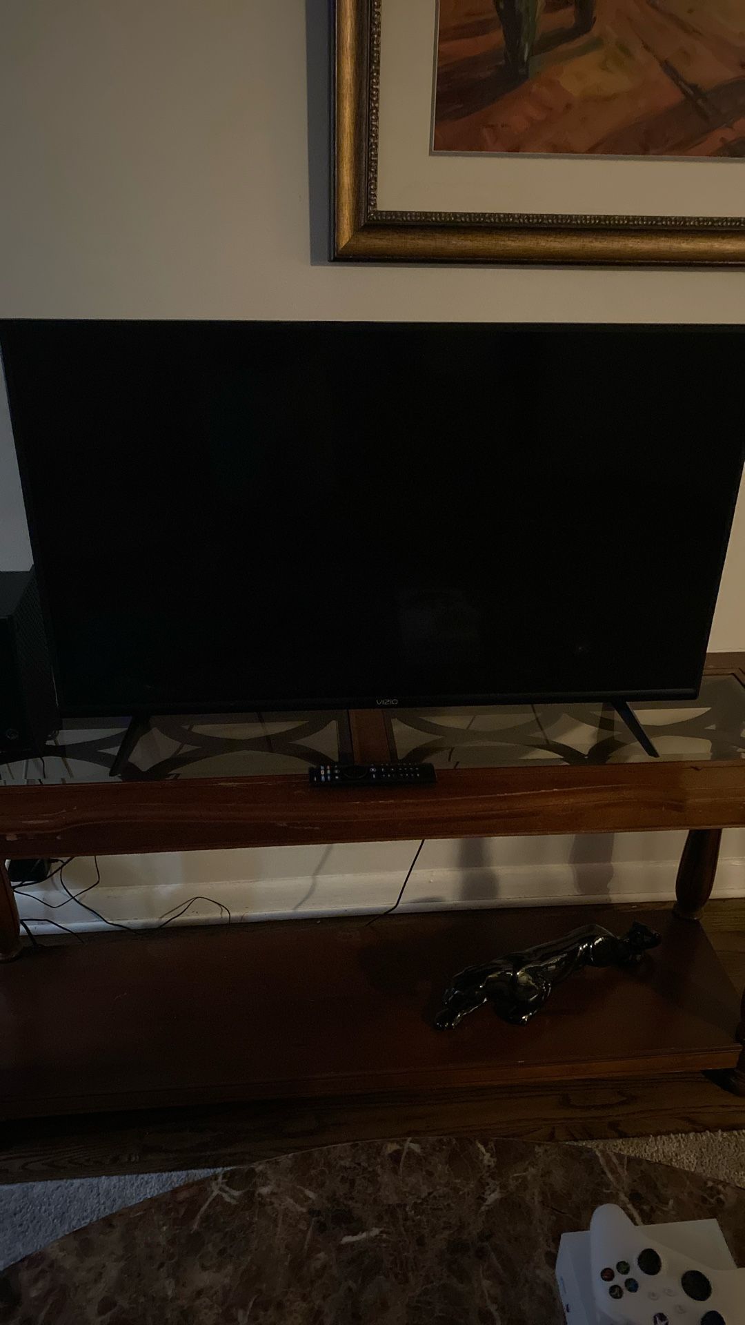 19” Vizio