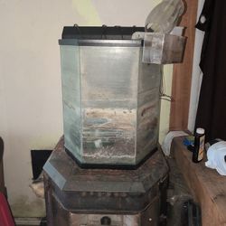 Aquarium 