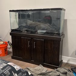 55 Gallon Fish Tank