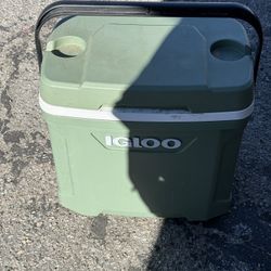 Cooler