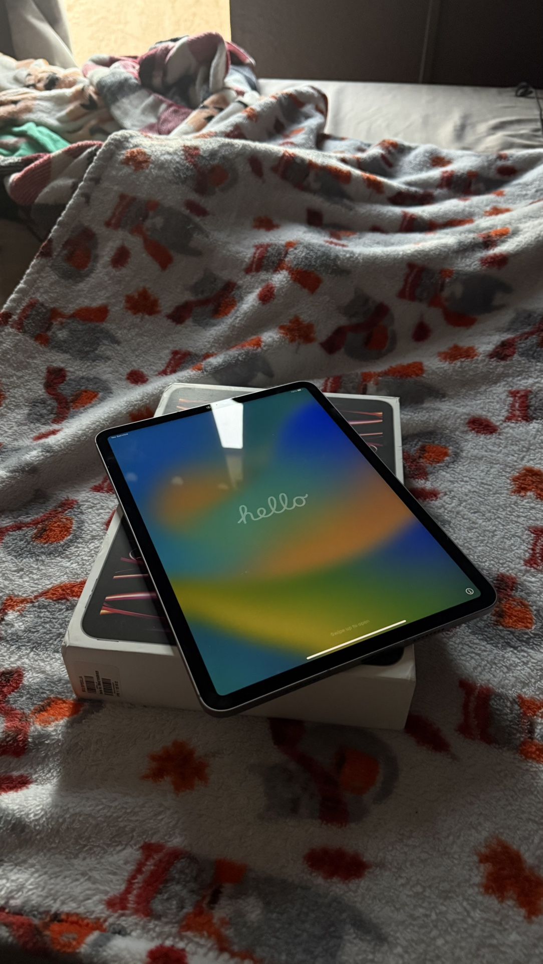 iPad 11 Pro (11th Generation)