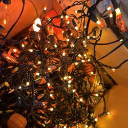 Free Christmas and Halloween Lights