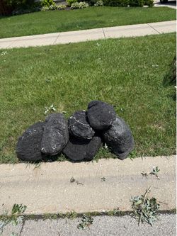 Free black lava rocks 🪨