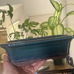 Bonsai Pot Tray Ceramic