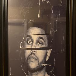 Beauty Behind The Madness Poster.