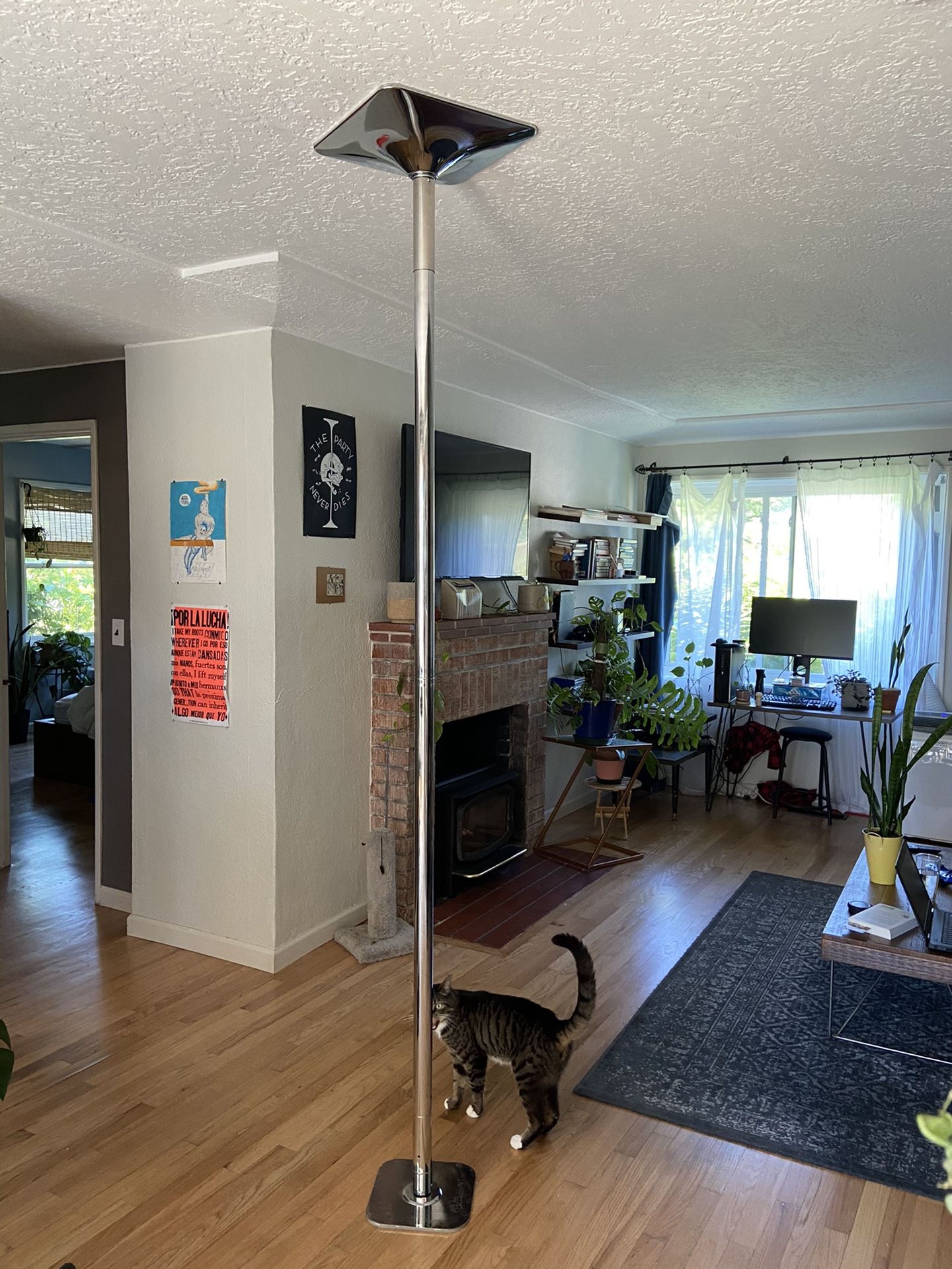 Fit2Flaunt Pole