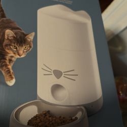 Cat Fountain 