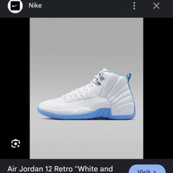 Air Jordan 12 