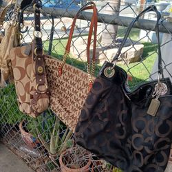 Purses Purses Purses