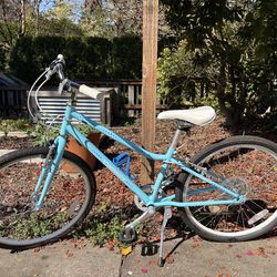 Guardian Youth 7-speed bicycle, adjustable