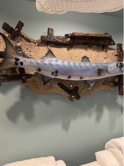 Large barracuda wall Sculpture