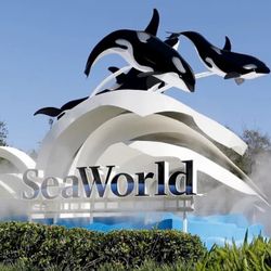 Seaworld Tickets 