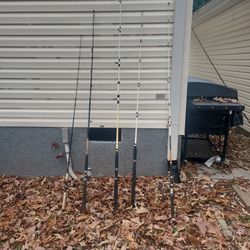 Fishing Rods And Reels