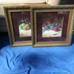 Still Life Pictures