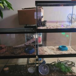 10 G Tanks For Reptiles
