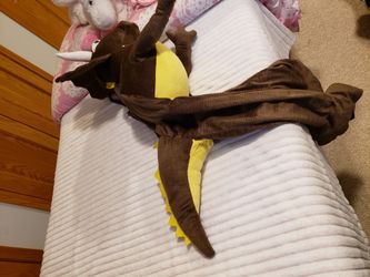 Dinosaur Costume