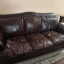 Living Room Couches/ Sofa