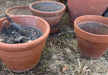 Terracotta pots