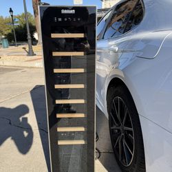 Wine Fridge 