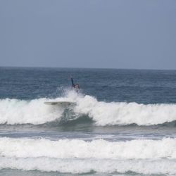 Surfboard Longboard Funboard Surfboards Sale