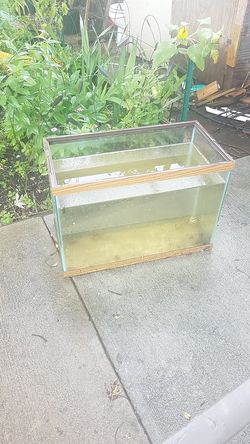 Small fish tank
